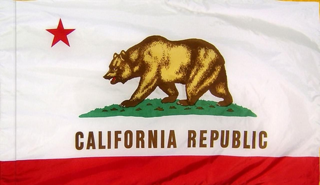 CALIFORNIA STATE FLAG - POLEHEM PLAIN - Image 2