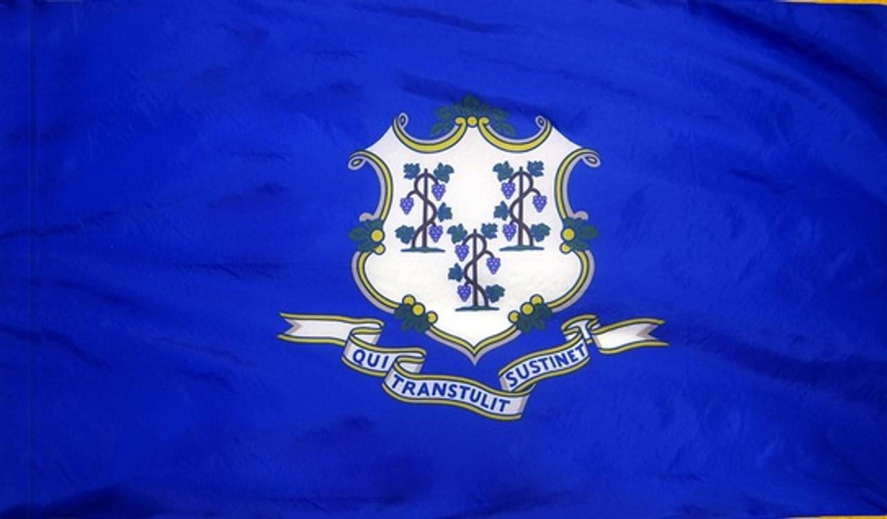 CONNECTICUT STATE FLAG - POLEHEM PLAIN - Image 2