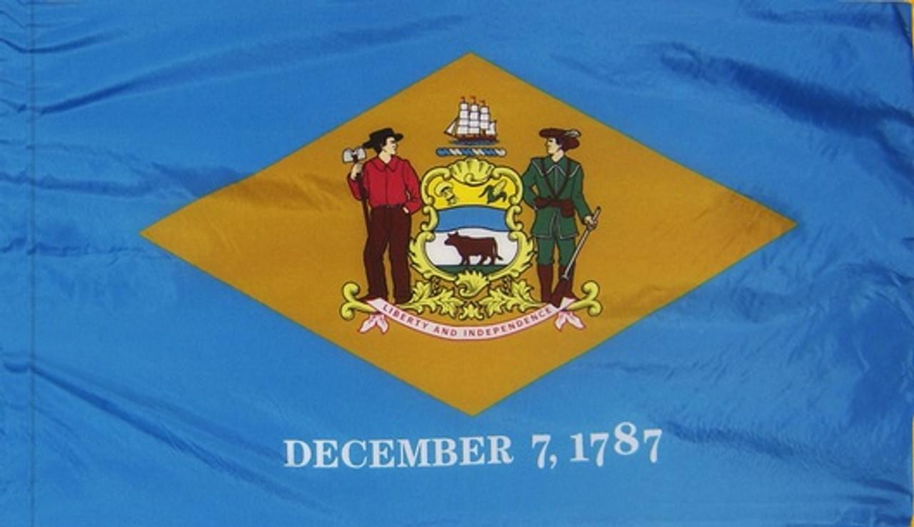 DELAWARE STATE FLAG - POLEHEM PLAIN - Image 2